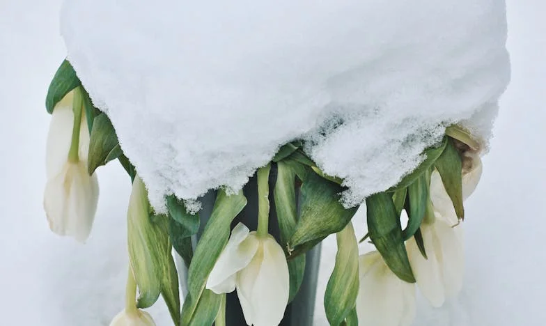 "Let's Split the Check": The Night That Changed My View on Love