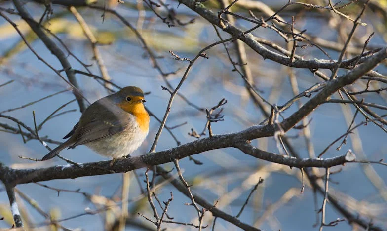 Living Next Door to My In-Laws Nearly Destroyed My Family: My Battle for Boundaries and Peace