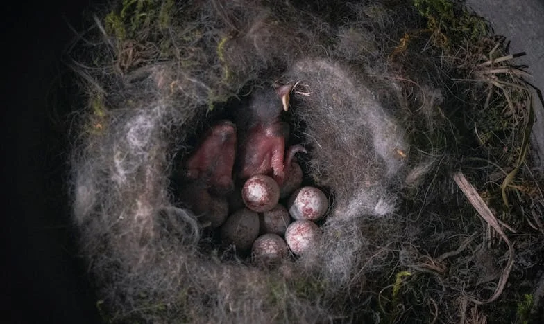 My Boss Gave My Promotion to His Niece—But He Never Saw This Coming