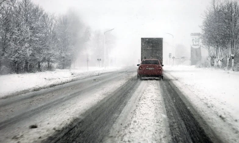 My Father's Last Will: The Day My Family Broke and Healed