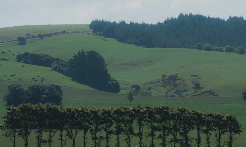 My Husband Hid the Truth: The Day I Discovered Half His Salary Went to His Mother