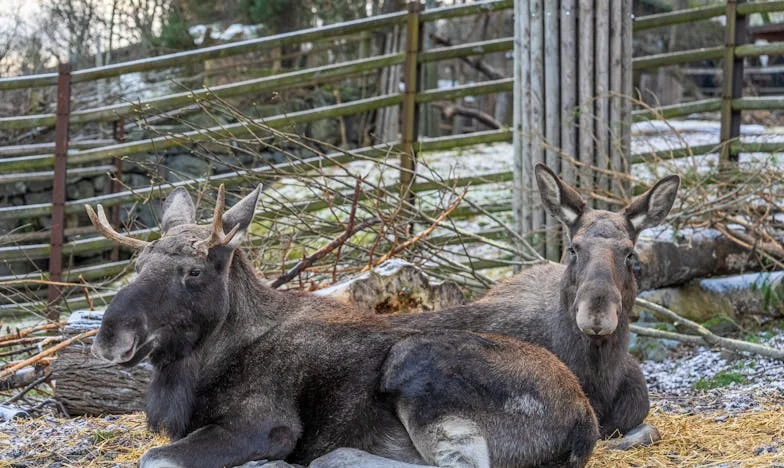 "My Mother-in-Law Treats Me Like the Help" – My Fight for Respect in a House That Became My Prison