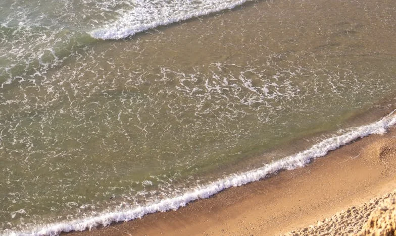 My Mother-in-Law, Without Borders – How My American Family Fell Apart and Came Back Together