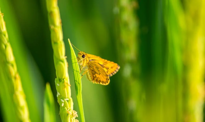 "No, Your Mother Can't Move In With Us" — My Battle for My Own Home and Dignity