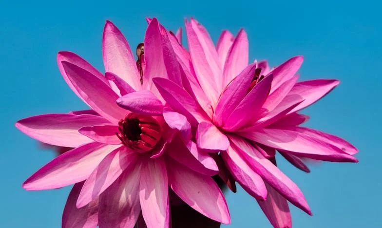 Seven Sleepless Nights: How My Husband's Insomnia Tore Our Family Apart