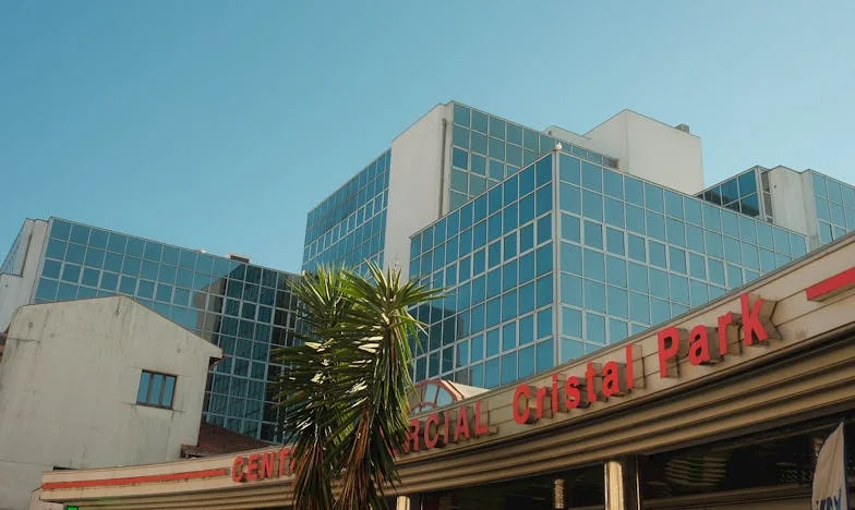 The Day I Saw My Pregnant Ex-Wife on the Side of the Road: A Story of Regret, Secrets, and Second Chances