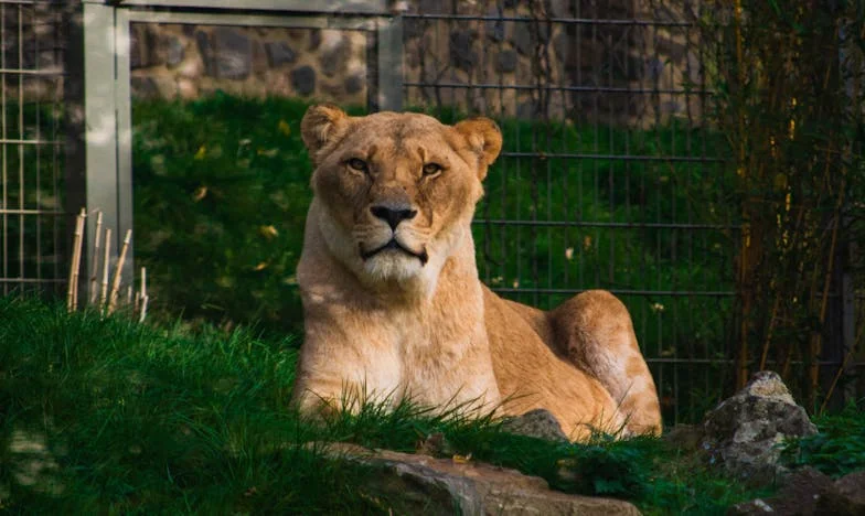 The Day My Father Walked Out: A Story of Broken Promises and Second Chances