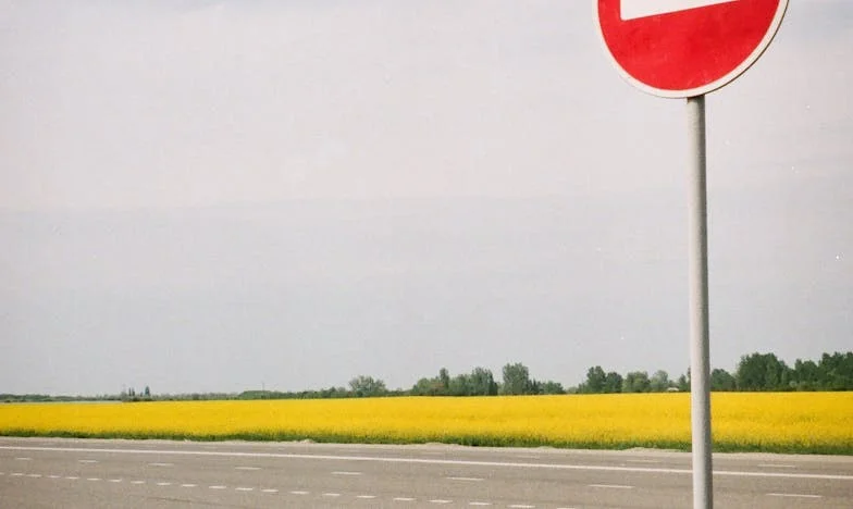 The Girl Who Waited by the Window: A Story of Lost Hope and Unexpected Family