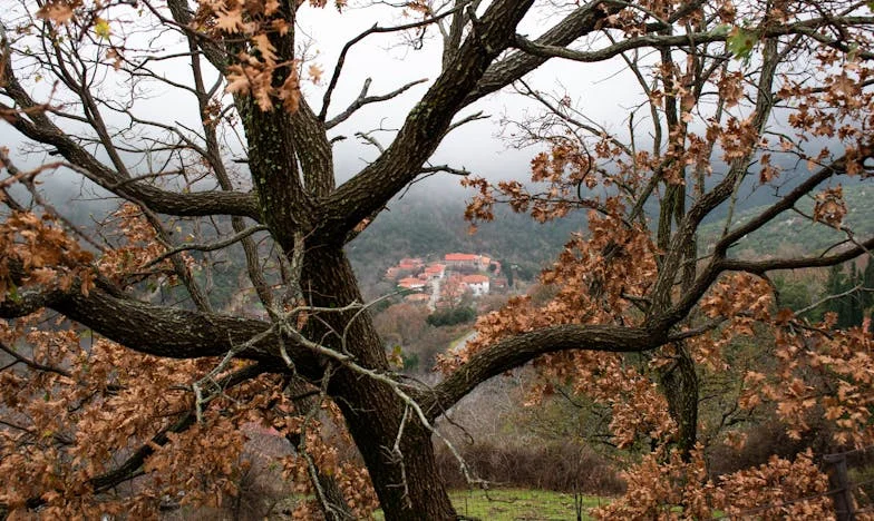 The Sunday Everything Fell Apart: A Family Dinner That Changed My Life Forever