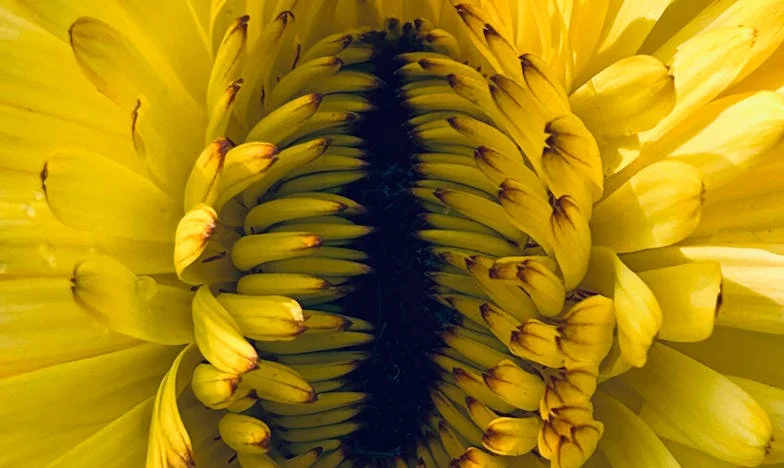 "They Thought I Was Just My House" – Confessions of an Aunt in New York