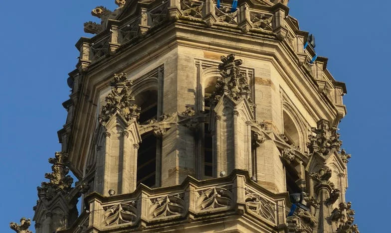 Two Faces of Truth: When My Twins Turned My World Upside Down