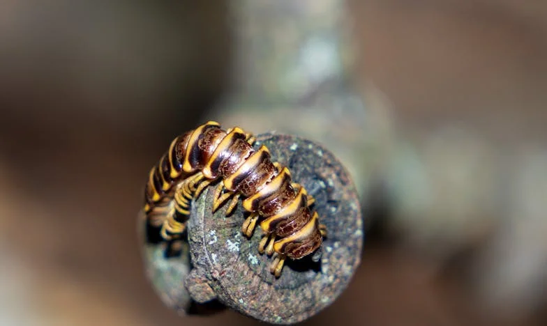 Under One Roof: The Cracks No One Sees in Our Family Life