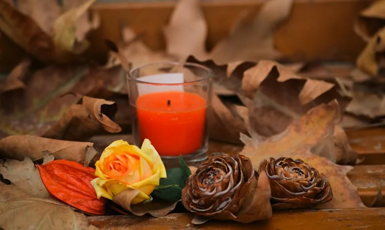 Under the Same Picture: The Secret Between My Mother-in-Law and Me