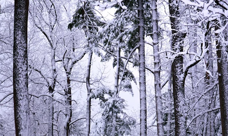 Unwanted Daughter: The Story No One Wanted to Hear