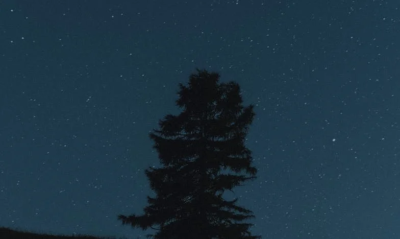 When My Mother-in-Law Moved Her Son In: Surviving the Storm That Shook My Family