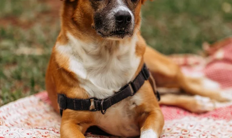 When Pride Destroys: How My Need for Control Cost Me My Family