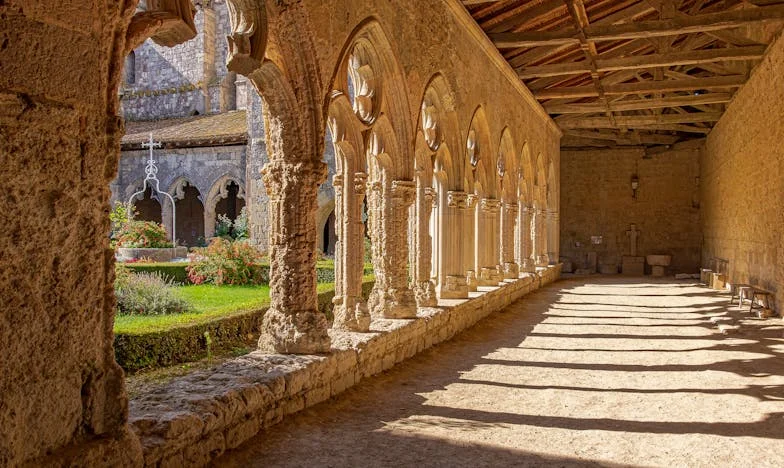 Between Two Homes: The Day I Left and the Guilt That Followed