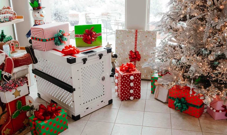 One Night at the Police Station: How a Mother’s Fear Changed My Life Forever