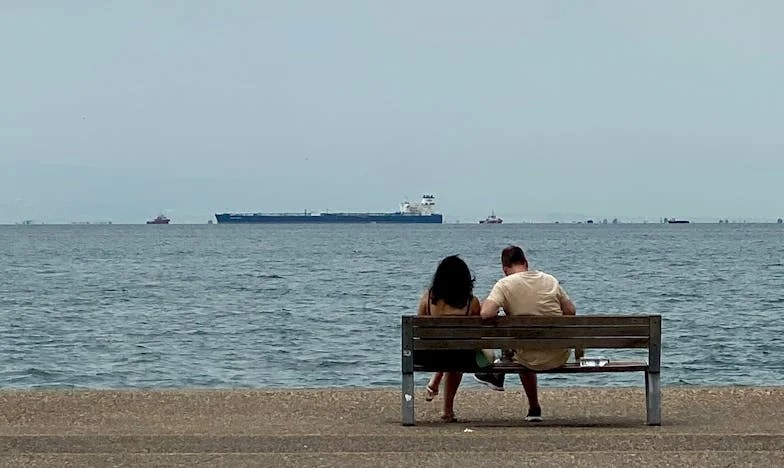 The Maid on Trial: When the Millionaire’s Son Spoke, Silence Shattered