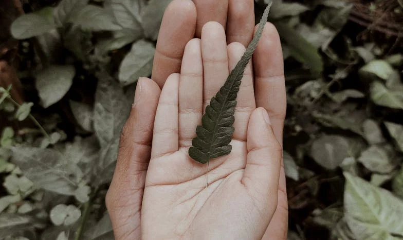 The Millionaire Who Came Home Early: A Story of Betrayal and Redemption in Suburban America