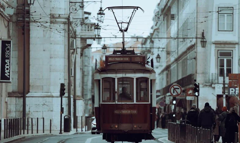 The Stranger at the Edge of the Woods: The Day My Family’s Secrets Came Home