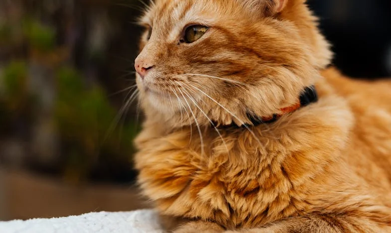 They Barely Recognize Me: The Day I Threatened My Kids with a Nursing Home