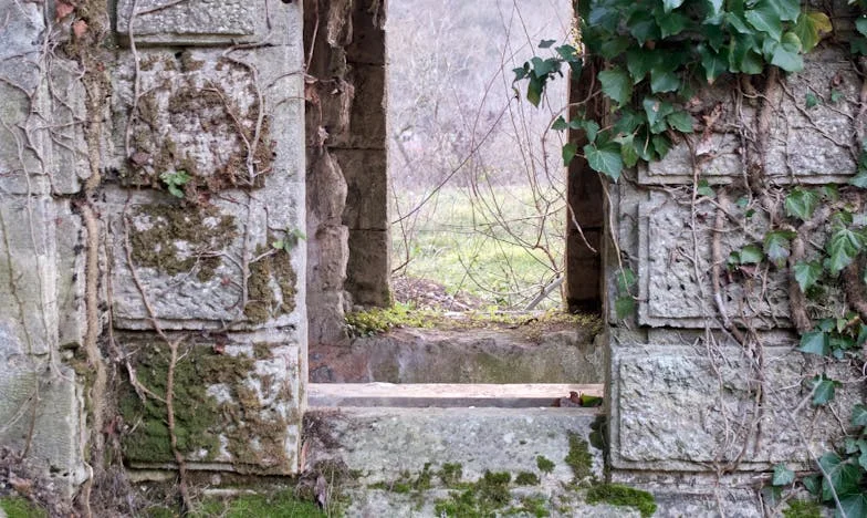 Thrown Out, But Not Broken: How I Fought Back Against My Abuser and Found My Voice