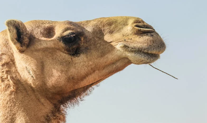 Thrown Out Into the Storm: The Night My Family Turned Their Backs on Me