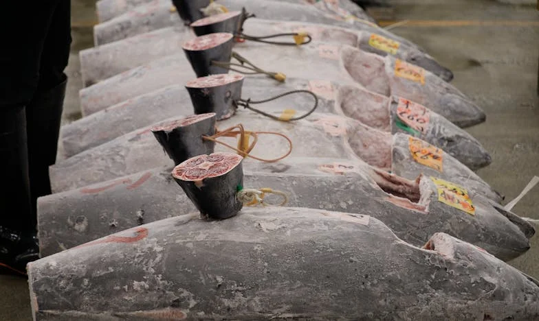 When My Brother Demanded His Share: Love, Betrayal, and the House That Tore Us Apart