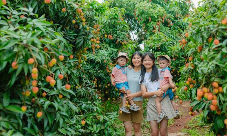 A Christmas Letter from Little Layla: Between Two Families, My Heart on My Sleeve