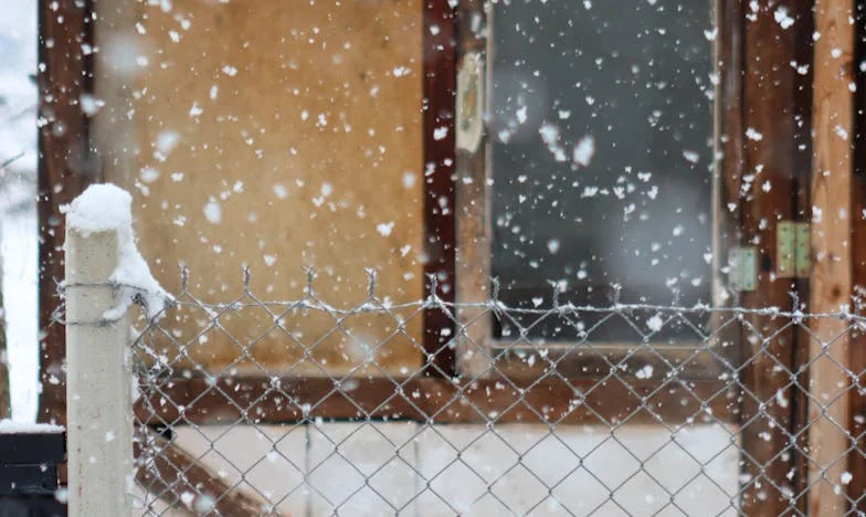 After My Wife’s Death, I Sent Her Son Away—He Wasn’t My Blood. Ten Years Later, a Truth Shattered Me.