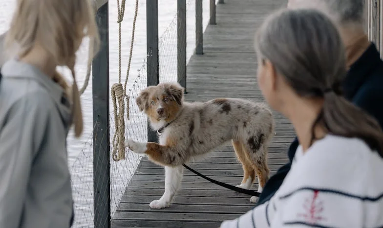 Between Past and Future: When My Ex-Husband Made Me an Impossible Proposal