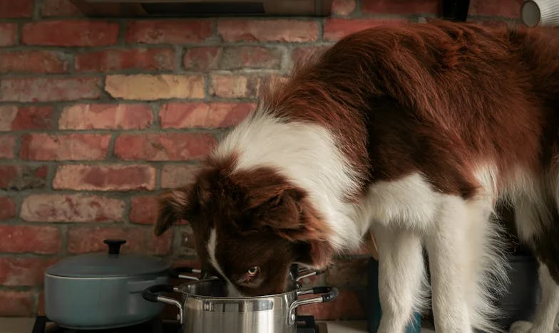 Every Day I Cook From Scratch Because My Husband Refuses Leftovers: How Do I Break Free?