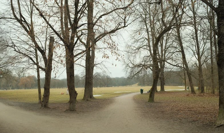 Everything for My Children, Now Alone: The Story of a Forgotten Mother in America