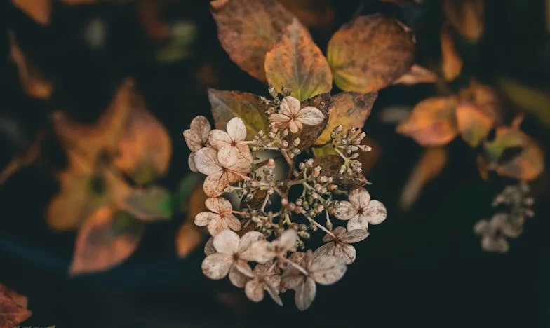 Legacy of Betrayal: The Will That Shattered My Family