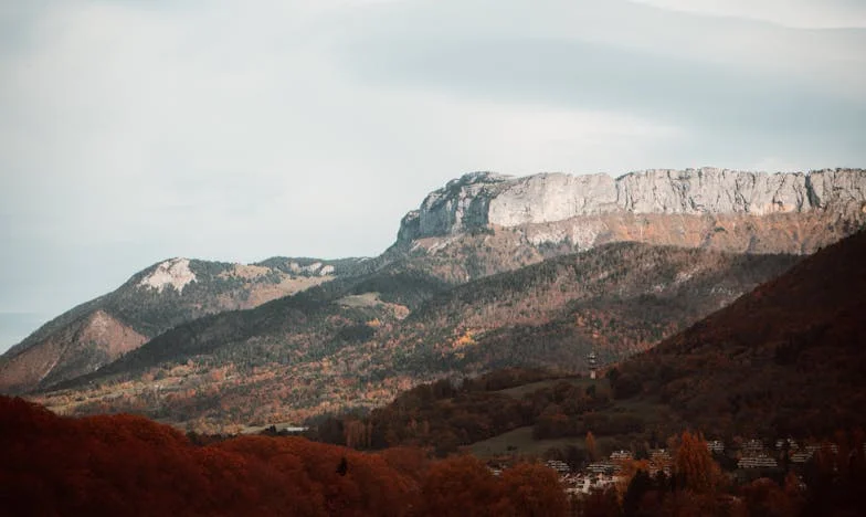 “Mom, This Place Is Filthy!” – Linda’s Story of Losing Her Home Without Ever Leaving