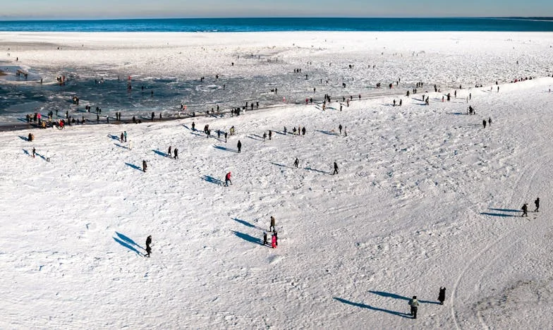 No One Could Bring My Grandson for the Weekend, But an Unexpected Visitor Changed Everything: A Father's Journey Toward Forgiveness