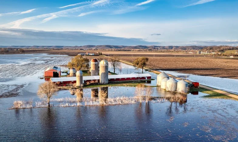 “No, Your Mother Will Not Live With Us” — My Fight for Home and Dignity