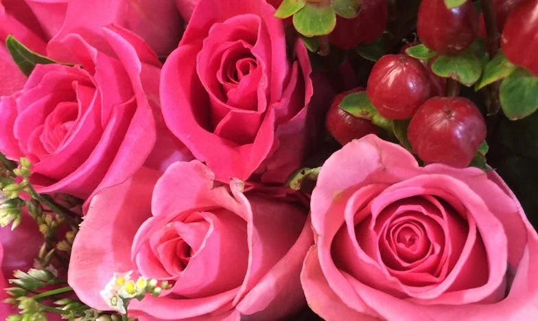 On My Wedding Night, My Father-in-Law Whispered: "If You Want to Live, Run Now…"