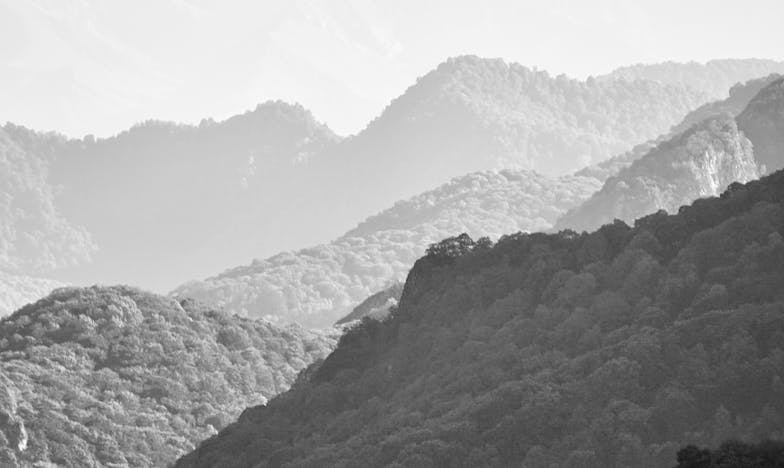 When Grandma Had Strength for Only One Grandchild: The Truth That Tore Us Apart