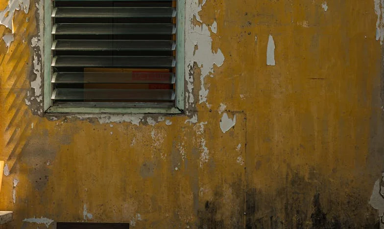 When Love Hurts: Emily's Journey from Fear to Freedom