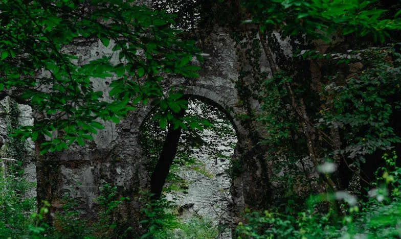 When They Saw My Phone: A Night at the Grand Regency