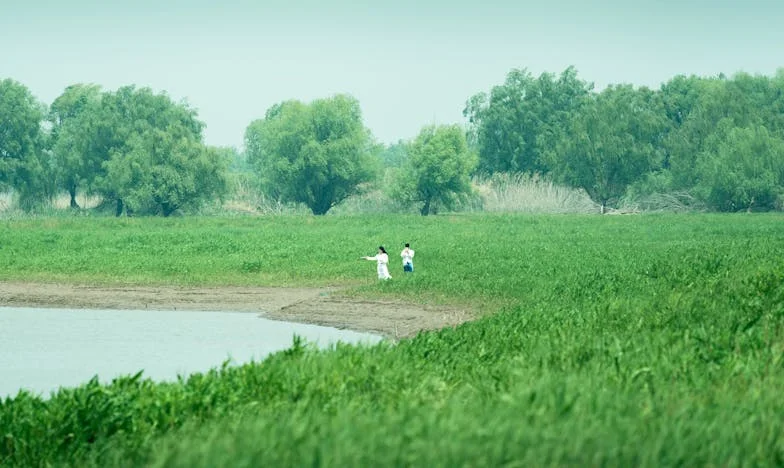 A Billionaire’s Awakening: How a Housekeeper’s Dance with My Deaf Sons Changed Everything