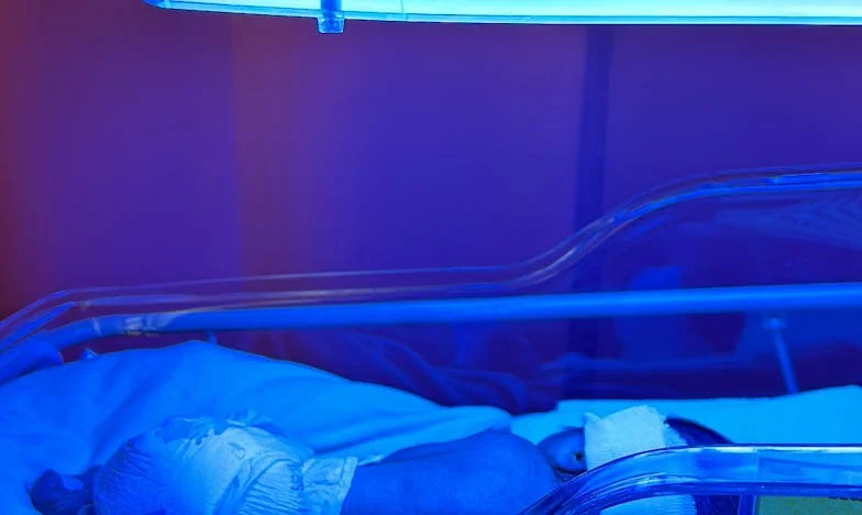 A Knock at Mr. Carter’s Door: When Desperation Meets Hope