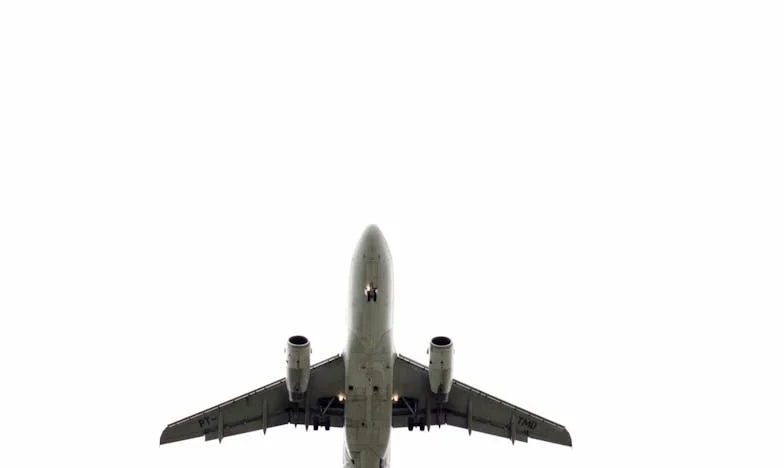 He Kicked Me Out of My Seat Because My Niece Was Crying—But He Never Expected Who Would Take My Place