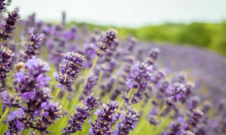 Hunger That Steals Sleep: A Night That Changed Everything