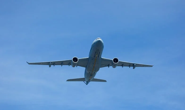 I Wasn't Invited to My Own Son's Wedding—Then I Had to Take Them In: A Mother's Battle for Dignity