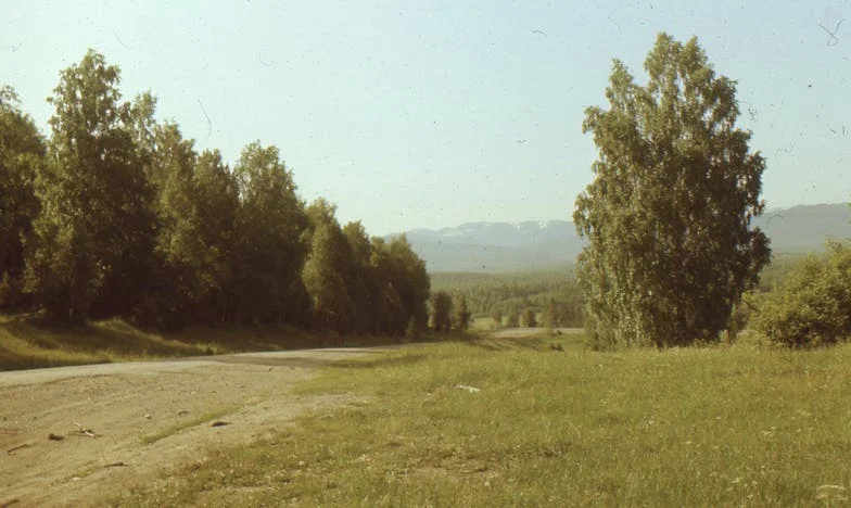 The Billionaire’s Son and the Secret Burden: A Story of Pain, Trust, and Revelation