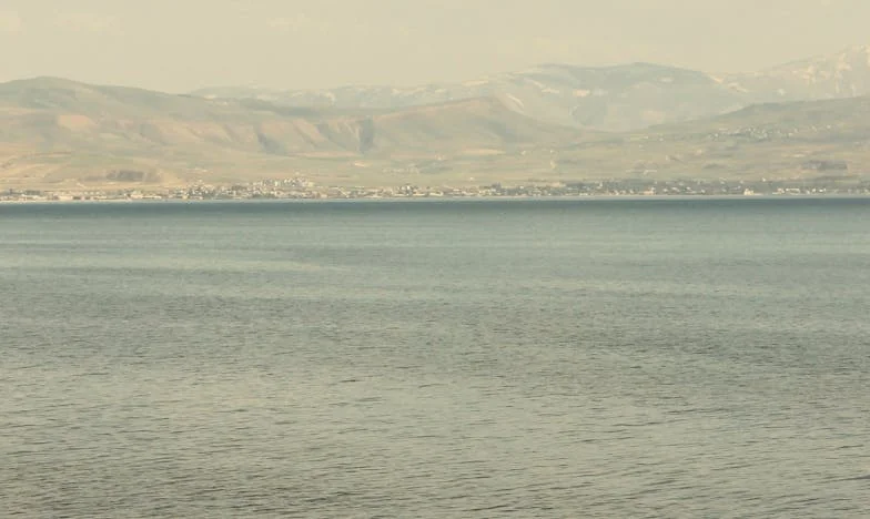 The Silver Spoon: A Secret in Suburbia