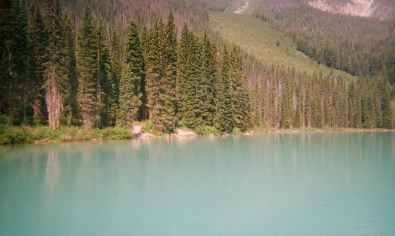 Torn Between Two Families: When Dreams and Duty Collide